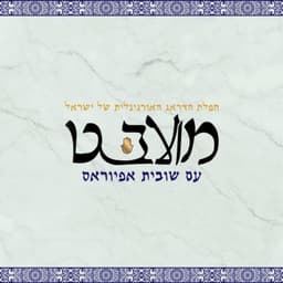 מועבט logo